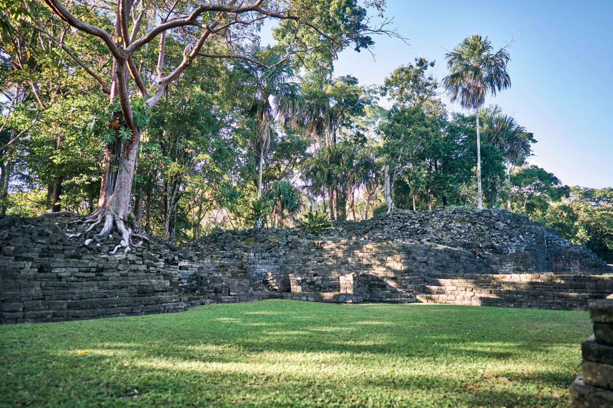 Turtle Inn By Francis Ford Coppola Placencia Bagian luar foto